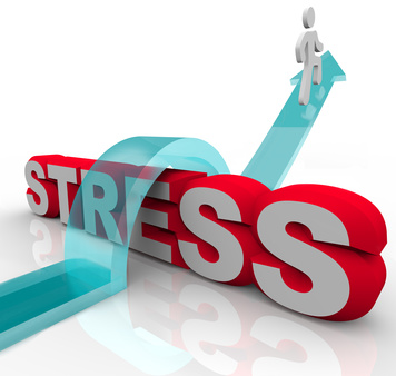 Wellbeing and Stress Management 